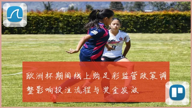 欧洲杯期间线上购足彩监管政策调整影响投注流程与奖金发放