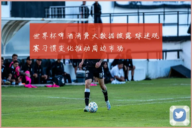 世界杯啤酒消费大数据披露 球迷观赛习惯变化推动周边市场